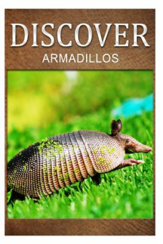 Book Armadillos - Discover: Early reader's wildlife photography book Discover Press