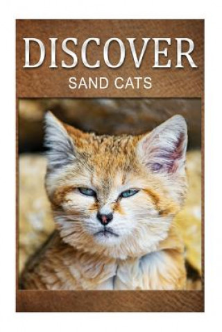 Carte Sand Cats - Discover: Early reader's wildlife photography book Discover Press