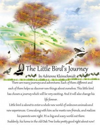 Książka The Little Bird's Journey Adrienne Kleinschmidt