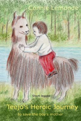 Book Teejo's Heroic Journey Connie Lemonde