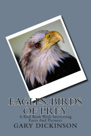 Könyv Eagles: Birds of Prey Gary Dickinson