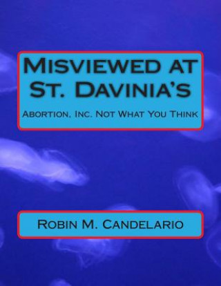 Kniha Misviewed at St. Davinia's Robin M Candelario