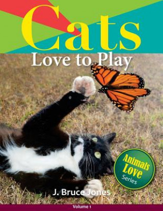 Carte Cats Love to Play J Bruce Jones