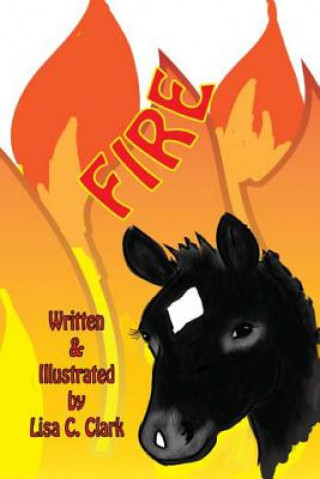 Knjiga Fire Lisa C Clark
