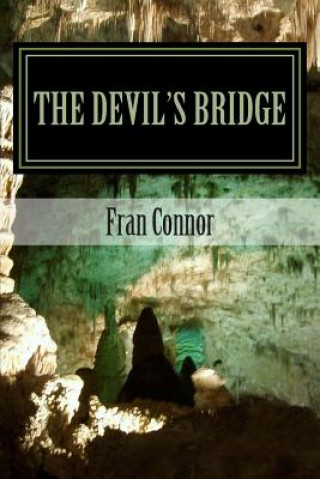 Book The Devil's Bridge Fran Connor