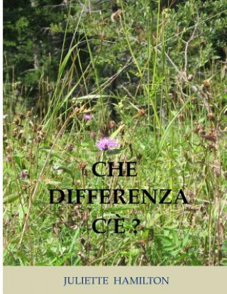Knjiga Che differenza c'? ? Juliette Hamilton