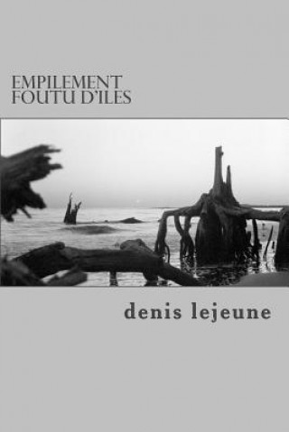 Kniha empilement foutu d'iles Denis Lejeune