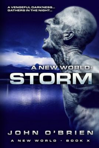Könyv New World John O'Brien