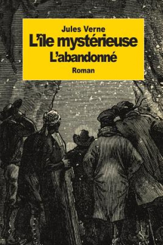 Książka l'île mystérieuse: Partie 2: L'abandonné Jules Verne