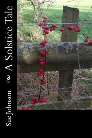 Kniha A Solstice Tale: Mystery, Magic and Friendship Sue Johnson