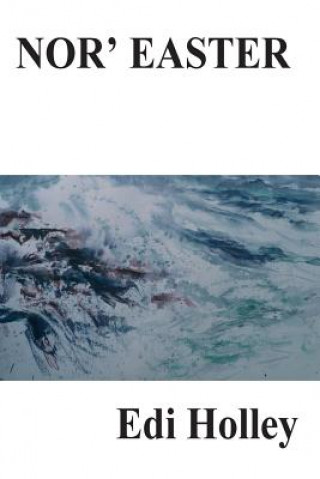 Knjiga Nor' Easter Edi Holley