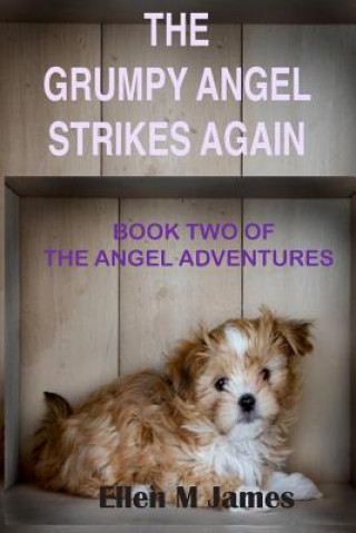 Knjiga The Grumpy Angel Strikes Again Ellen M James