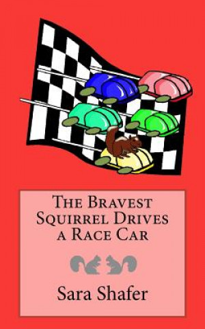 Kniha The Bravest Squirrel Drives a Race Car Sara Shafer