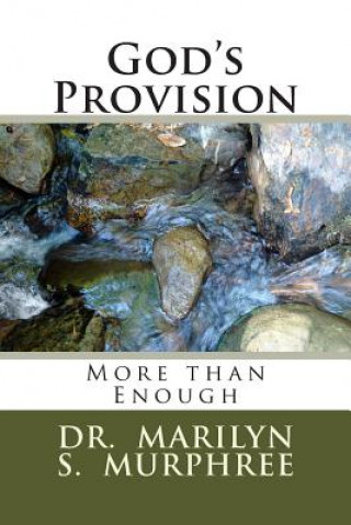 Buch God's Provision: More than Enough Dr Marilyn S Murphree