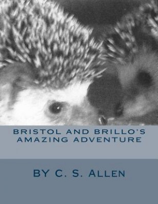 Knjiga Bristol and Brillo's Amazing Adventure C S Allen