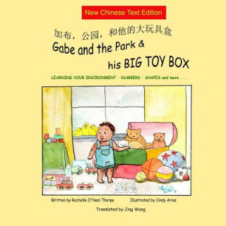 Kniha Gabe and the Park & His Big Toy Box (New Simplified Only) Rochelle O'Neal Thorpe