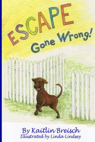 Knjiga Escape Gone Wrong! Kaitlin Breisch