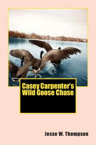 Kniha Casey Carpenter's Wild Goose Chase MR Jesse W Thompson