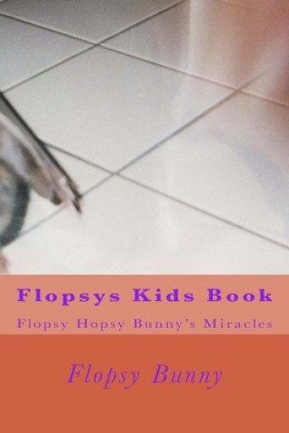 Könyv Flopsys Kids Book: Flopsy Hopsy Bunny's miracles Flopsy Hopsy Bunny