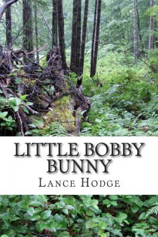 Könyv Little Bobby Bunny Lance Hodge