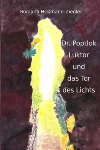 Könyv Dr. Poptlok Luktor und das Tor des Lichts Romana Hemann-Ziegler