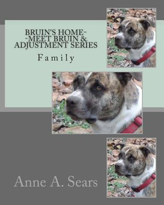 Kniha Bruin's Home--Meet Bruin and Adjustment Series: Family Anne A Sears