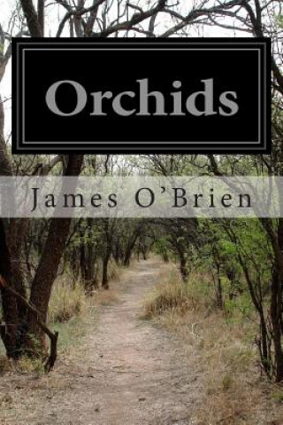 Kniha Orchids James O'brien