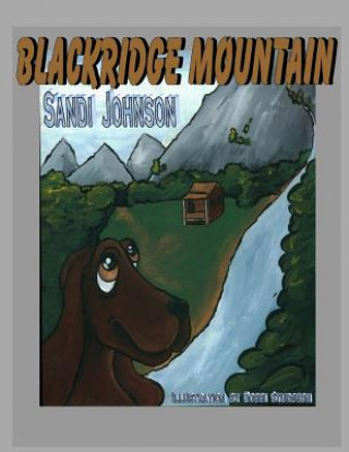 Книга Blackridge Mountain Sandi Johnson
