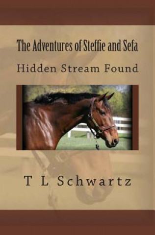 Kniha The Adventures of Steffie and Sefa T L Schwartz