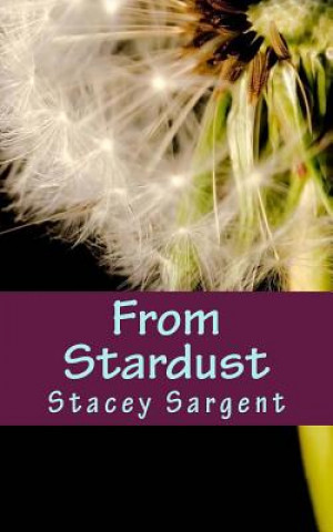 Buch From Stardust Stacey Sargent