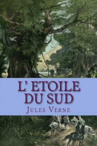 Buch L' Etoile du Sud M Jules Verne