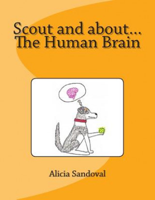 Книга Scout and about...The Human Brain Alicia Sandoval