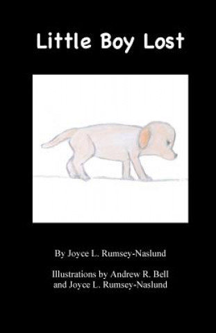 Buch Little Boy Lost Joyce Naslund