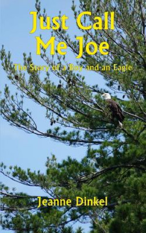 Kniha Just Call Me Joe: The Story of a Boy and an Eagle Jeanne Dinkel