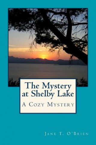 Buch The Mystery at Shelby Lake Jane O'Brien