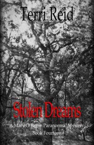 Kniha Stolen Dreams - A Mary O'Reilly Paranormal Mystery - Book Fourteen Terri Reid