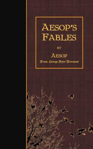 Kniha Aesop's Fables Aesop