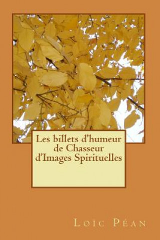 Kniha Les Billets d'Humeur Spirituelle de Chasseur d'Images Spirituelles IIII Loic Pean