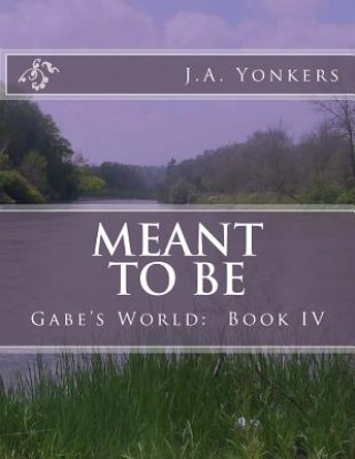 Könyv Meant To Be: Gabe's World: Book IV J a Yonkers