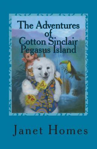 Buch The Adventures of Cotton Sinclair Pegasus Island Janet Homes