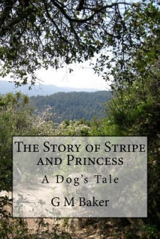 Kniha The Story of Stripe and Princess: A Dog's Tale G M Baker