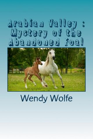 Kniha Arabian Valley: Mystery of the Abandoned Foal Wendy Wolfe