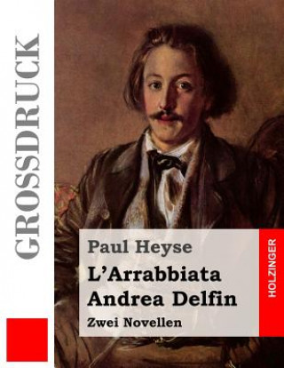 Buch L'Arrabbiata / Andrea Delfin (Großdruck): Zwei Novellen Paul Heyse