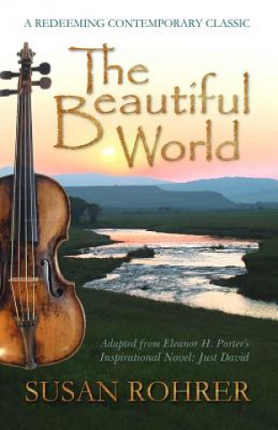 Boek Beautiful World Susan Rohrer