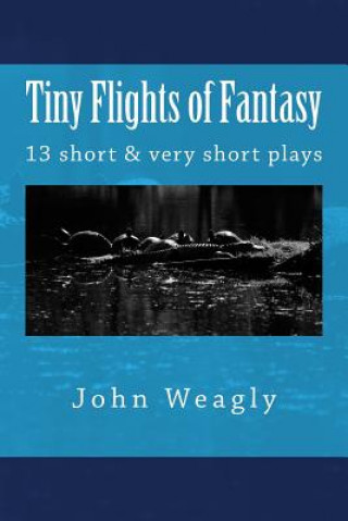 Kniha Tiny Flights of Fantasy: 13 short & very short plays about things that don't happen, but should John Weagly