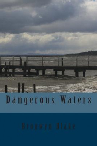 Buch Dangerous Waters Bronwyn Blake