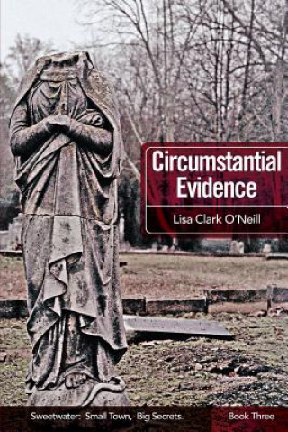 Kniha Circumstantial Evidence Lisa Clark O'Neill