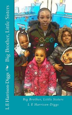 Buch Big Brother, Little Sisters L E Harrison-Diggs