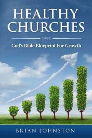 Kniha Healthy Churches: God's Bible Blueprint for Growth Brian Johnston