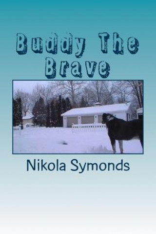 Kniha Buddy The Brave Nicola Symonds